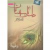 داستان سیستان اثر رضا امیرخانی
